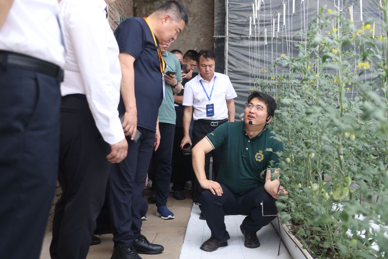 探讨数字资产在农业科技中的应用：如何推动可持续农业发展_农业数字资源_农业资产是什么意思