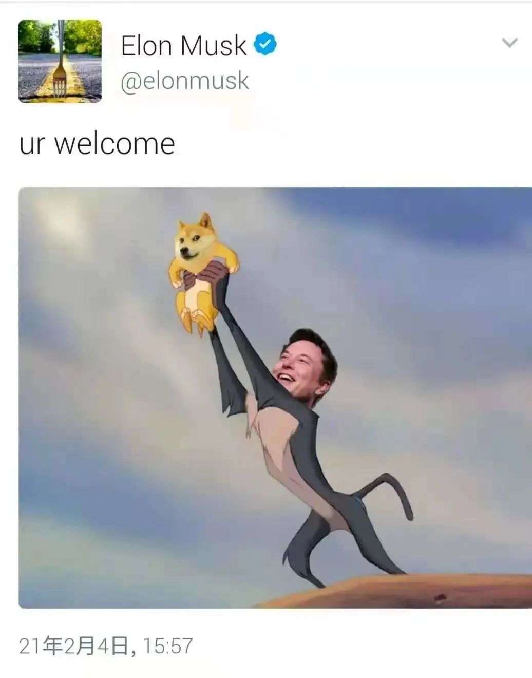 狗狗币如何玩_从游戏到投资：狗狗币如何吸引年轻用户_狗狗币的玩法