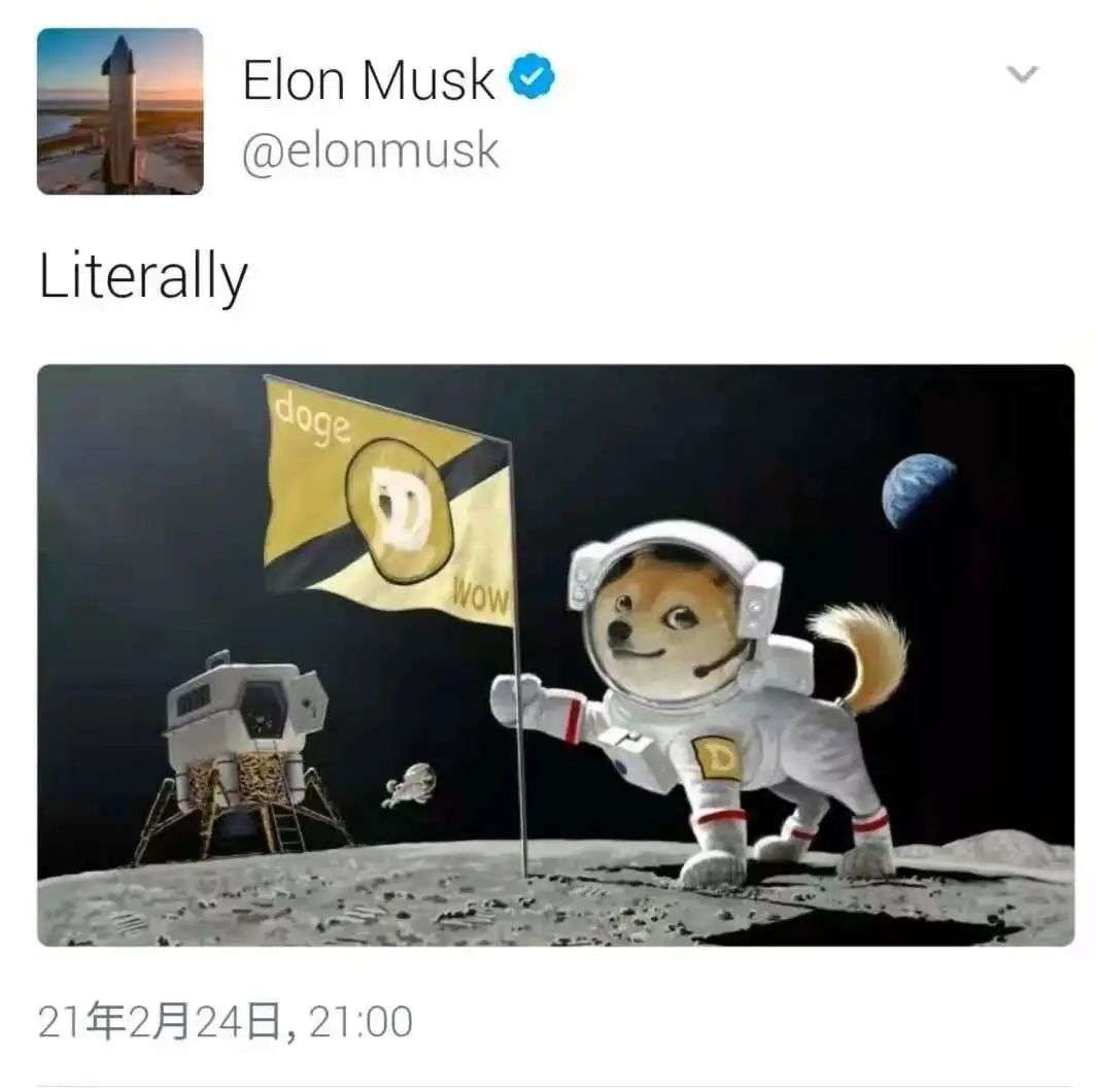 狗狗币如何玩_从游戏到投资：狗狗币如何吸引年轻用户_狗狗币的玩法