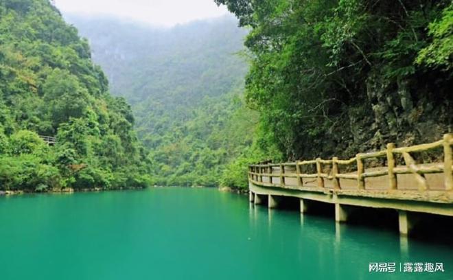 ADVANTRADE爱跟投是否进军数字货币交易？投资者关注焦点解析