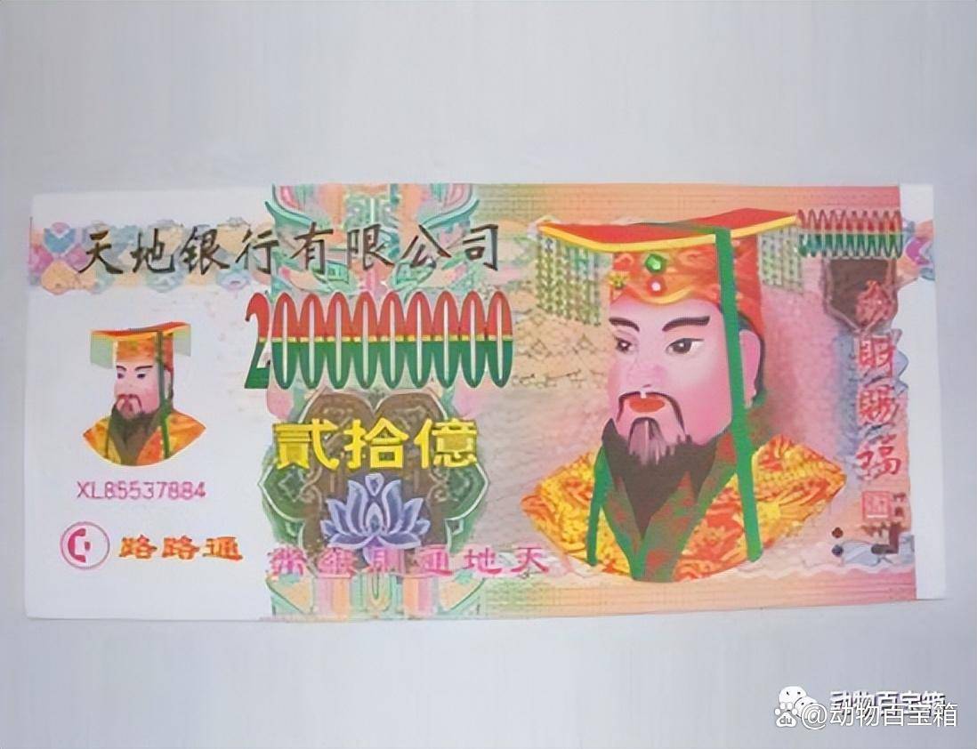 加密货币策略_加密货币的逻辑_分析加密货币市场的投资者行为：如何理解不同参与者的决策机制