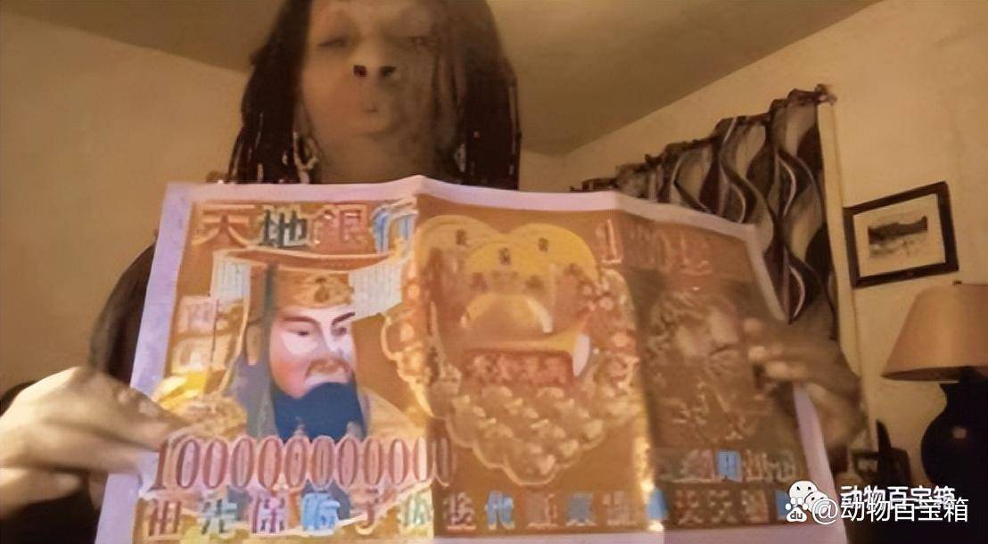 加密货币的逻辑_加密货币策略_分析加密货币市场的投资者行为：如何理解不同参与者的决策机制