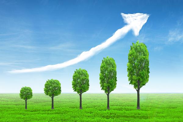 虚拟货币熊市之后：市场调整与未来展望 图2