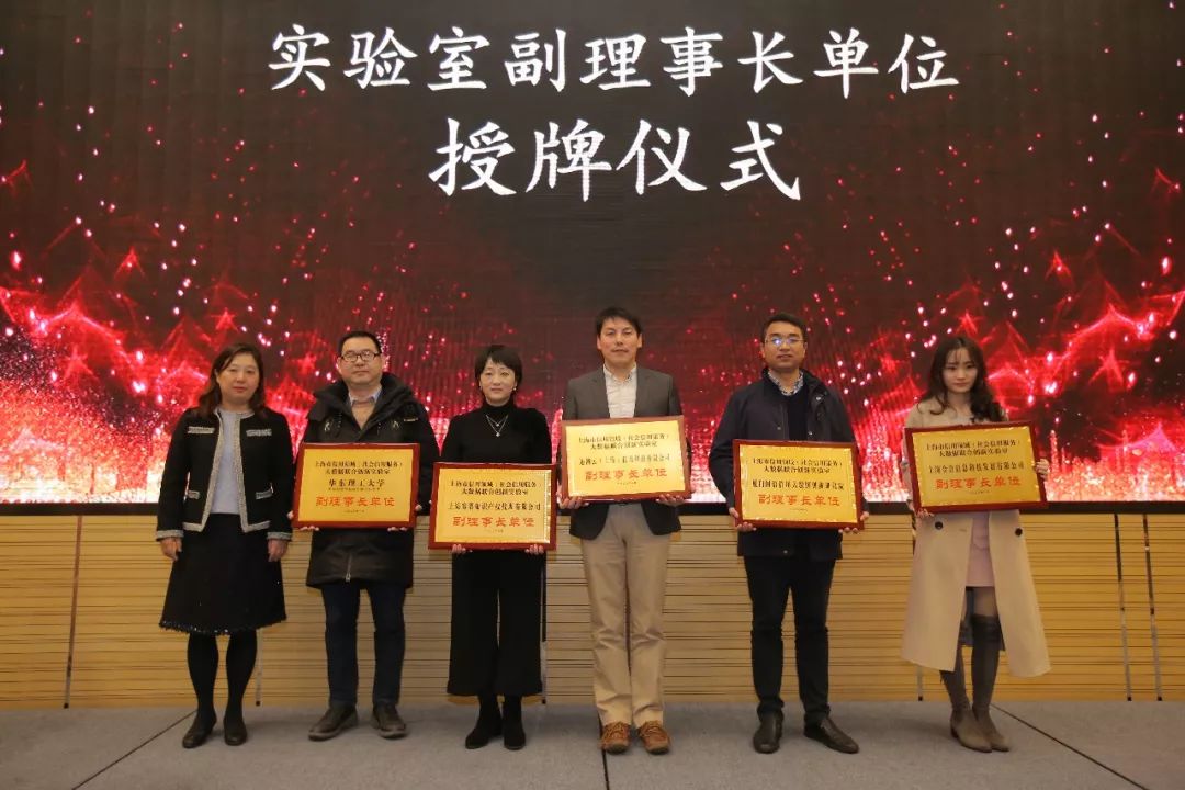 分析数字货币在信用评级中的应用：如何增强贷款与金融服务的透明度_信贷评级和信用等级_信用货币数字货币