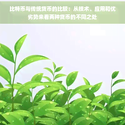 比特币与传统货币对比：技术基础、应用场景及优劣势分析